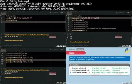 Python Programmer's Ultimate Guide | Zero to Hero | 2021