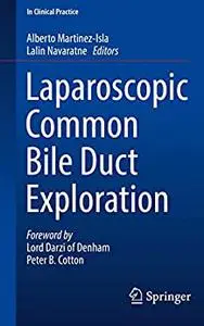 Laparoscopic Common Bile Duct Exploration (In Clinical Practice)