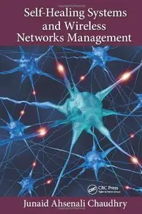Self-Healing Systems and Wireless Networks Management (repost)