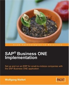 SAP Business ONE Implementation (Repost)