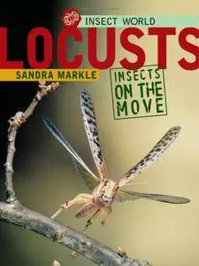 Locusts: Insects on the Move