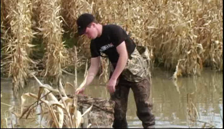 Chasses Modernes Du Migrateur Oies Et Canar