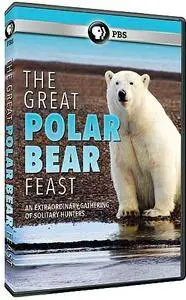 PBS - The Great Polar Bear Feast (2015)