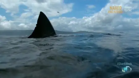 Shark Week - Air Jaws: Fin of Fury (2014)
