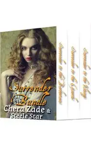 «Surrender Bundle: Barbarians, Guards and Vikings» by Chera Zade, Steele Star