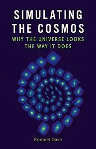 Simulating the Cosmos: Why the Universe Looks the Way It Does