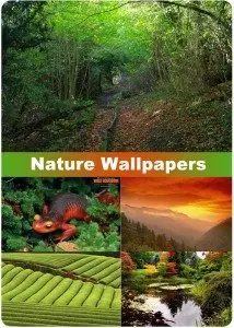Nature Wallpapers (part 82)