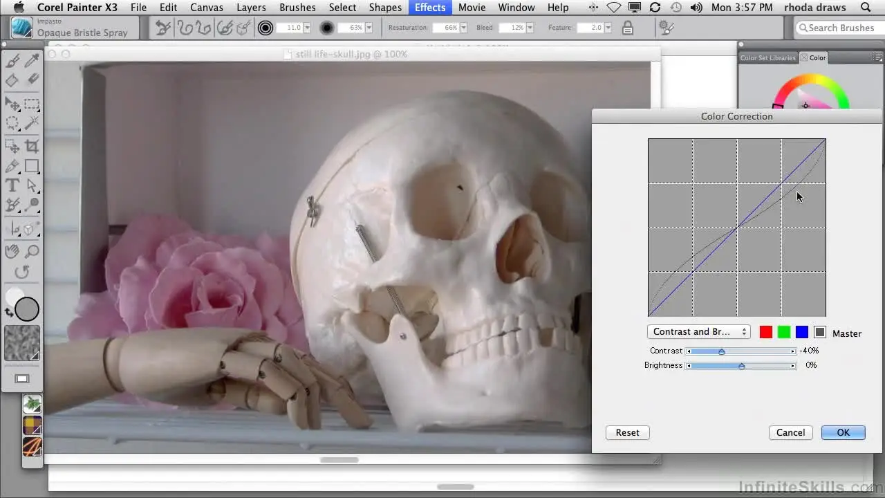 Корел layers. Corel painter 2013. Corel painter x3. Corel painter рисунки. Corel painter x3.