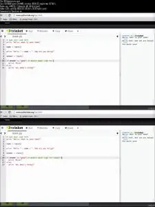 Udemy – Learn Programming with Python