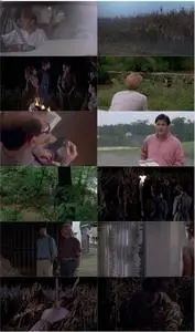 Children of the Corn II: The Final Sacrifice (1993)