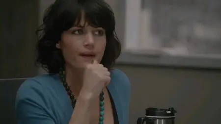 Every Day (2010)