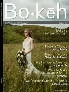 Bokeh - Volume 55 2017