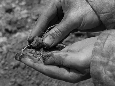 The Good Earth (1937)