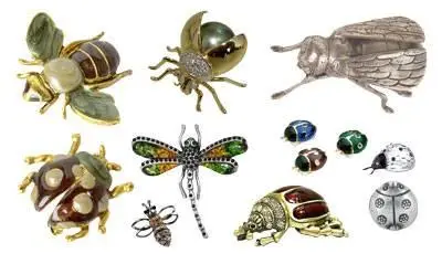 Insect - PNG Clipart for Photoshop