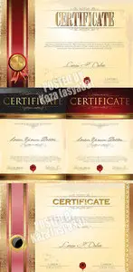 Certificate vector 34
