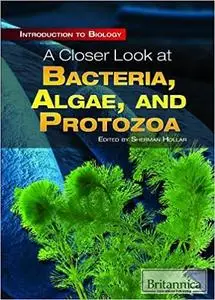 A Closer Look at Bacteria, Algae, and Protozoa (Introduction to Biology)