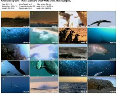National Geographic - Planet Carnivore: Great White Shark (2007)