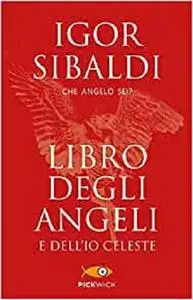 Il libro degli Angeli e dell'Io celeste (Italian Edition)