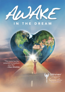 Awake in the Dream (2013)