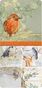 Grunge vector illustration of an bird