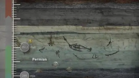 CuriosityStream TV - Breakthrough: Recovering from Extinction (2019)