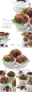 Stock Photo - Chocolate Muffins