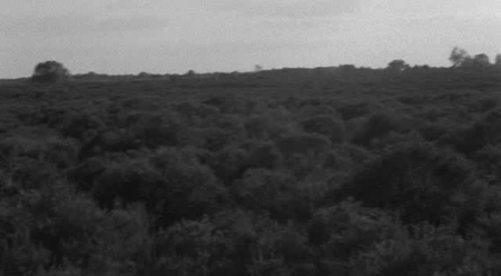 Patience (After Sebald) (2012)