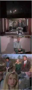 A Simple Twist of Fate (1994)