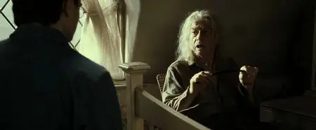 Harry Potter and the Deathly Hallows: Part 2 (2011)