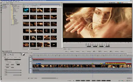 Avid DS 11.0.1