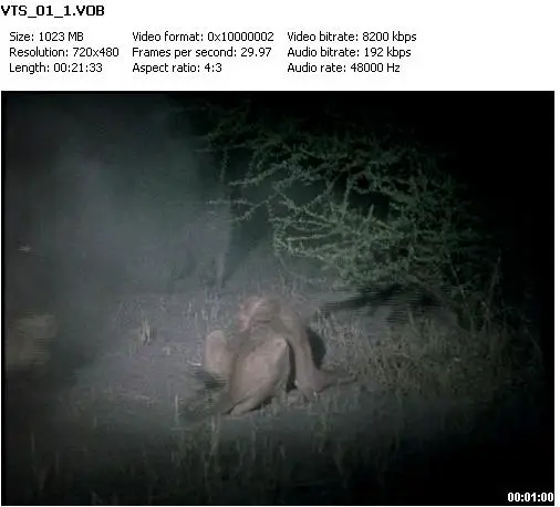 National Geographic-Eternal Enemies Lions and Hyenas