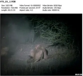 National Geographic-Eternal Enemies Lions and Hyenas