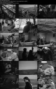 Killer Shark (1950)