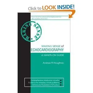 Making Sense of Echocardiography