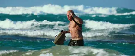 xXx: Return of Xander Cage (2017)