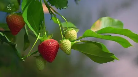Crazy Delicious S01E01