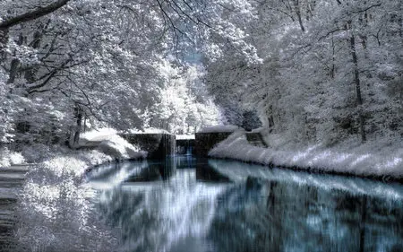 Wallpapers - Nature (pack 13) 