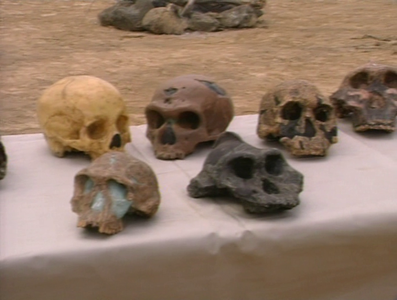 A&E - Ape Man: The Story of Human Evolution (1994)