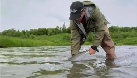 PBS Frontline - Alaska Gold (2012)
