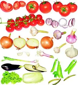 Vegetables Series in CorelDRAW 