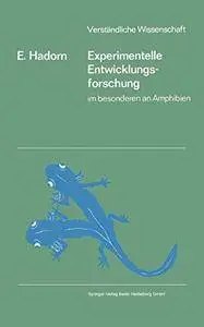 Experimentelle Entwicklungsforschung