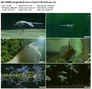 BBC - Wildlife: Dragonfly Beauty Or Beast (2004)