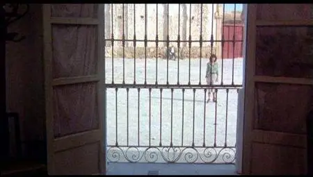 Michelangelo Antonioni-Professione: reporter (1975) (Reupload)