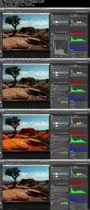 Lynda - Photoshop Color Correction: Fundamentals (repost)
