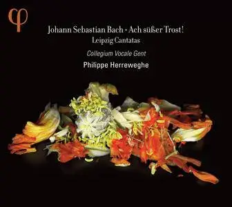 Collegium Vocale Gent, Philippe Herreweghe - J.S.Bach: Ach Susser Trost! Leipzig Cantatas (2012) [Official Digital Download]