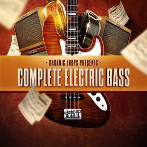 Organic Loops Complete Electric Bass WAV REX AiFF