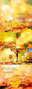 Stock Photo - Autumn Leaves Cards 4