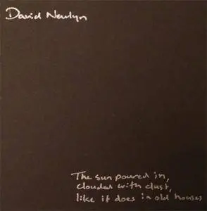 David Newlyn - The Sun Poured In Clouded With Dust, Like It Does In Old Houses (2016)