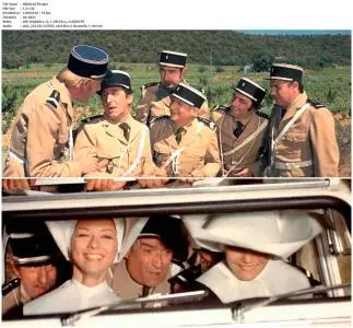 Le gendarme en balade (1970)