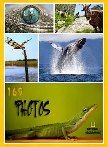 169 National Geographic Wallpapers (2009)